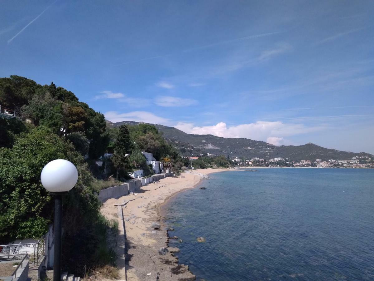 Evaliana Seaside Apartment PalaiónTsiflíkion Kültér fotó